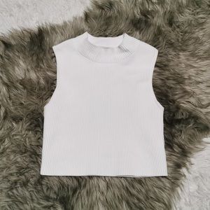 Aritzia Babaton Mock Neck Knit Top